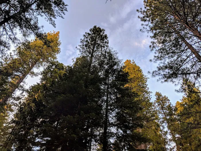 Big Reservoir Campground Picture 10