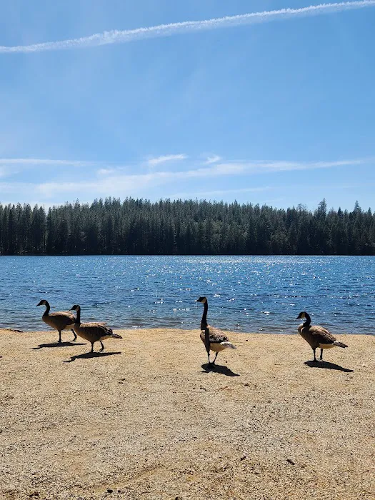 Morning Star Lake Campground Picture 7