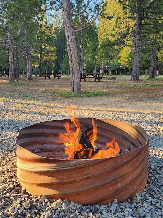 Morning Star Lake Campground Picture 6