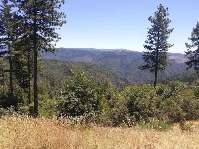 Morning Star Lake Campground Picture 10