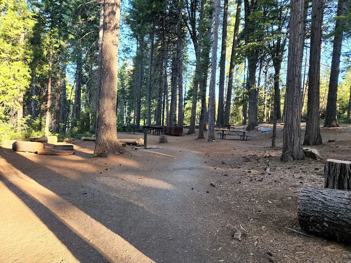 Ponderosa Cove Campground Picture 1