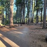 Ponderosa Cove Campground ico