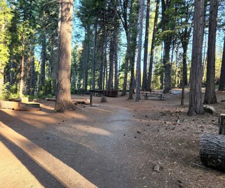 Ponderosa Cove Campground