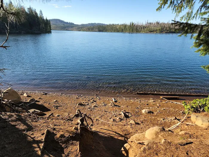 Ponderosa Cove Campground Picture 2