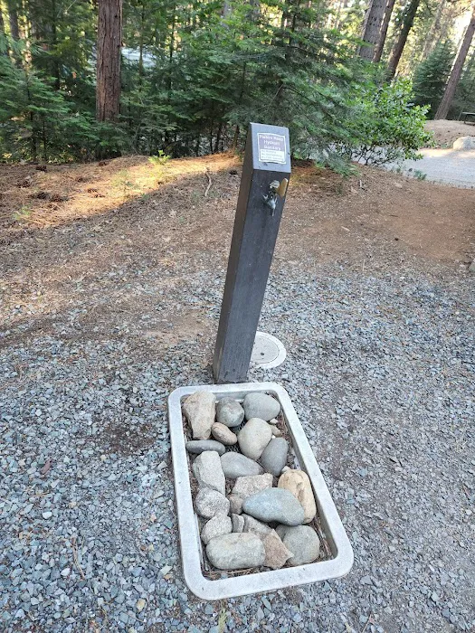 Ponderosa Cove Campground Picture 5