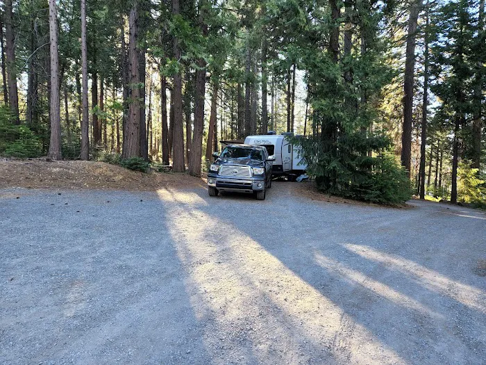 Ponderosa Cove Campground Picture 6