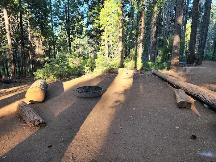 Ponderosa Cove Campground Picture 7