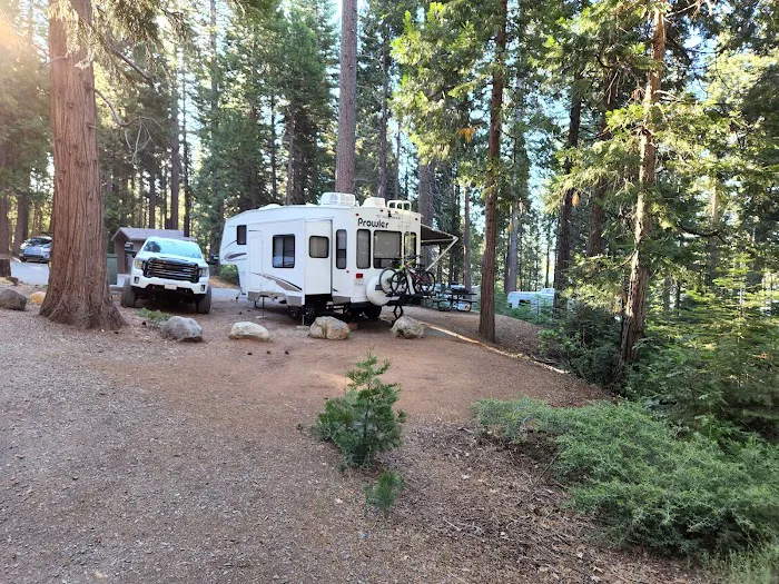 Ponderosa Cove Campground Picture 8