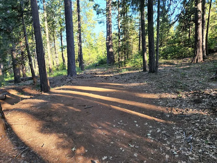 Ponderosa Cove Campground Picture 10