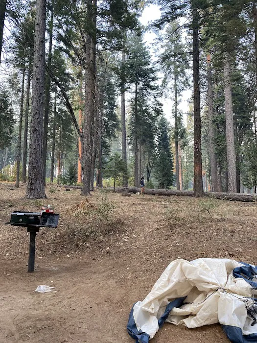 Stumpy Meadows Campground Picture 2