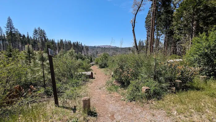 Black Oak Campground Picture 2