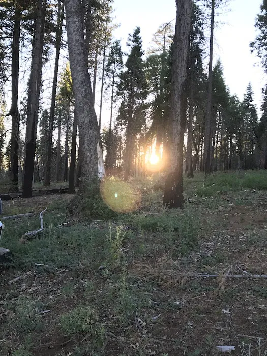 Black Oak Campground Picture 9