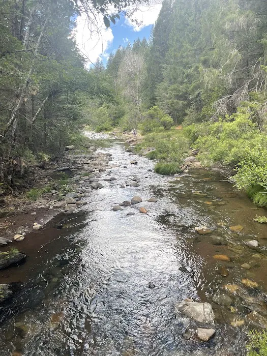 Sly Park Campground Picture 10