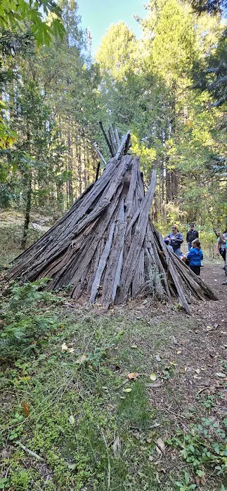 Scout Hill Group Campsite Picture 5