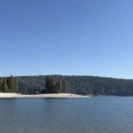 Pinecone Area