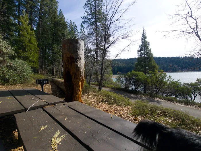 Pinecone Area Picture 10