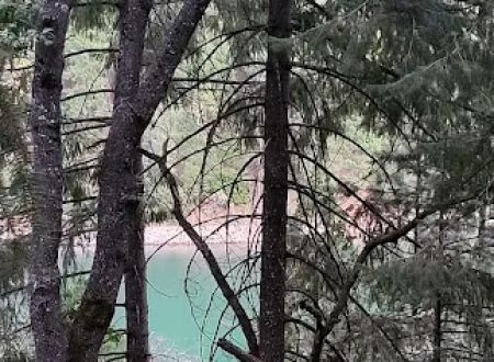 Sierra Area