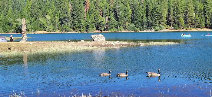 Sierra Area Picture 2