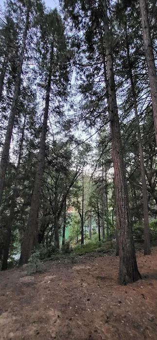 Sierra Area Picture 7