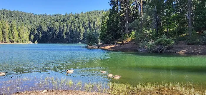 Sierra Area Picture 6