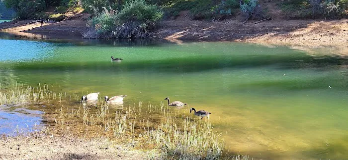 Sierra Area Picture 5