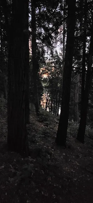Sierra Area Picture 8