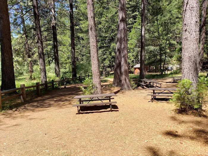 Hazel Meadow Picture 3