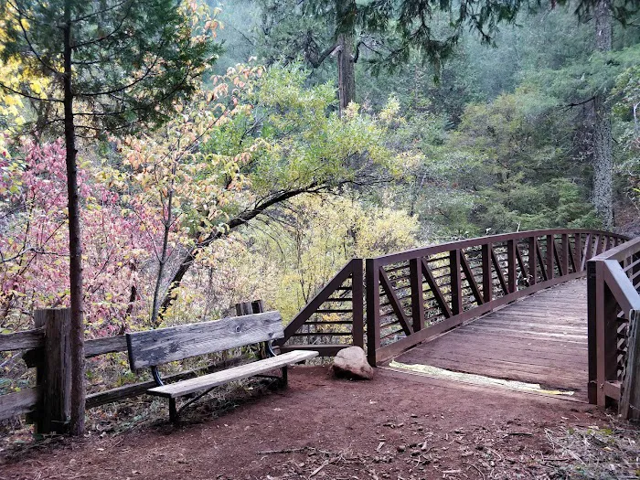 Hazel Meadow Picture 6