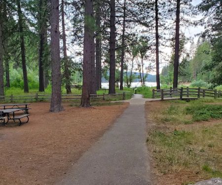 Hazel Creek Area