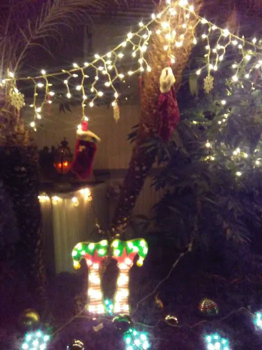 Casa Grande Estates Picture 6