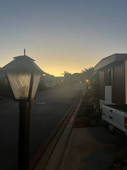 Mountain Shadows Mobile Home Picture 8