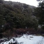 Lower Shake Trailhead