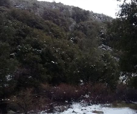 Lower Shake Trailhead