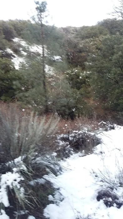 Lower Shake Trailhead Picture 5