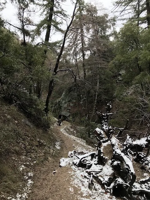 Lower Shake Trailhead Picture 3