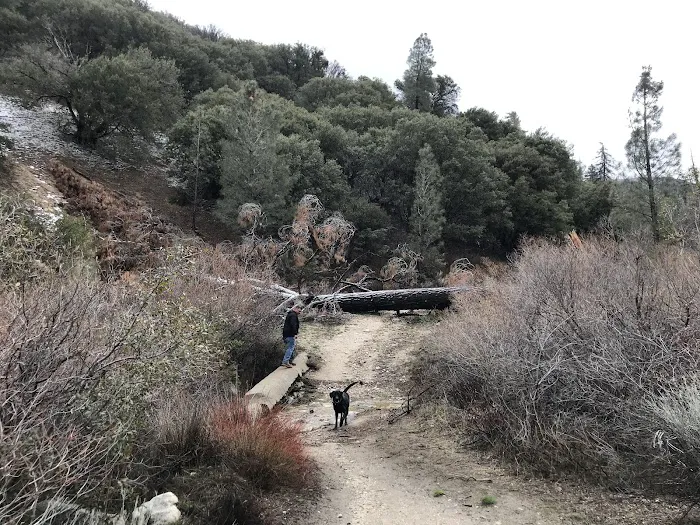 Lower Shake Trailhead Picture 2