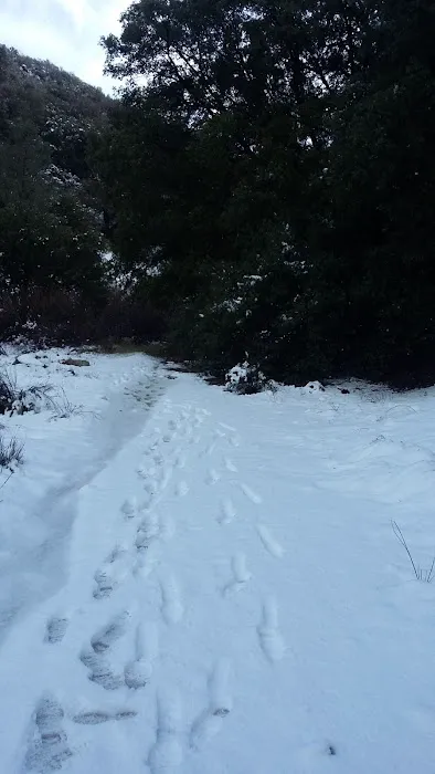 Lower Shake Trailhead Picture 7