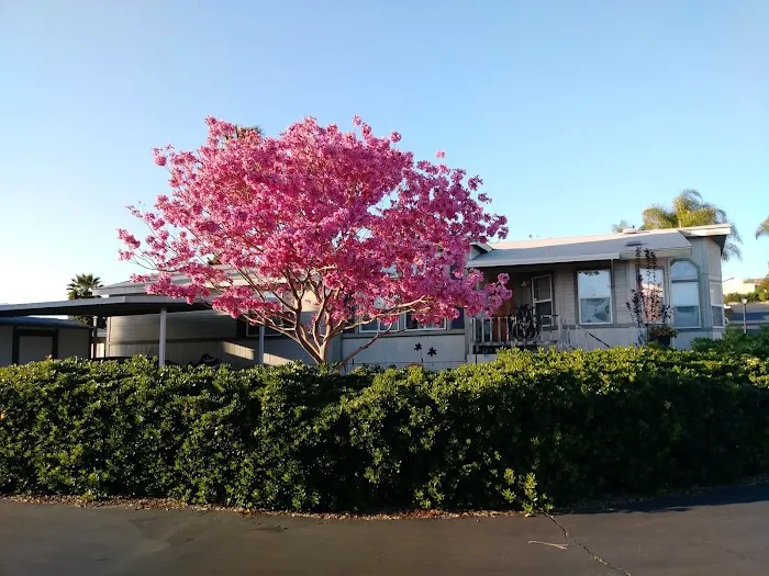 Green Tree Mobile Home Estates Picture 1