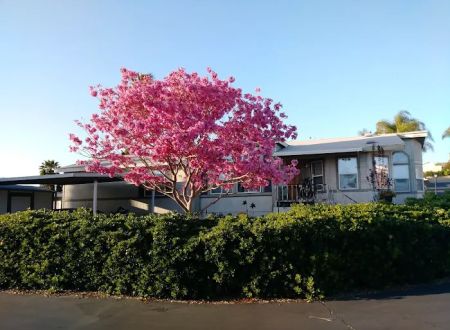 Green Tree Mobile Home Estates