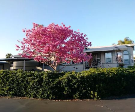 Green Tree Mobile Home Estates