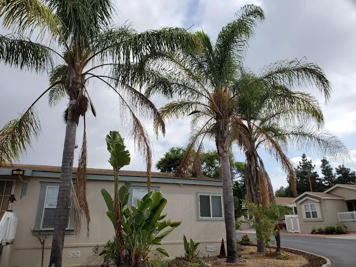 Green Tree Mobile Home Estates Picture 4