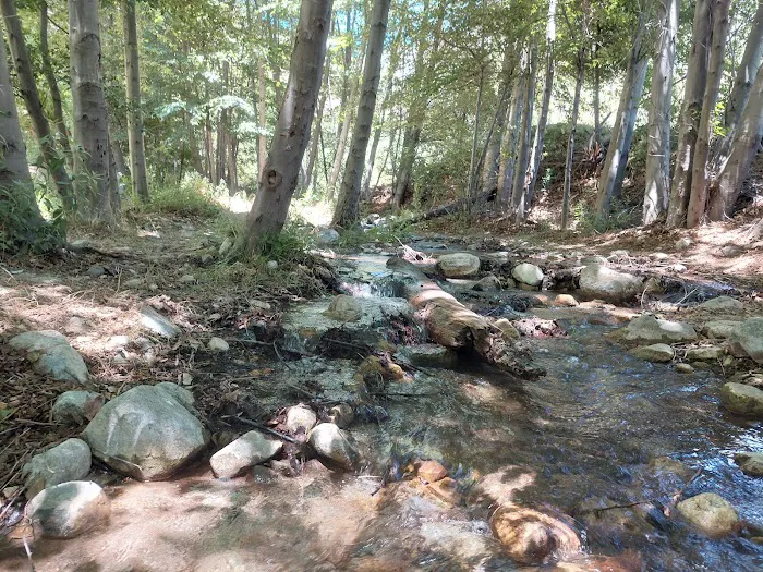 Coldbrook Campground Picture 1