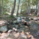Coldbrook Campground