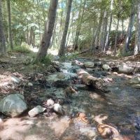 Coldbrook Campground ico