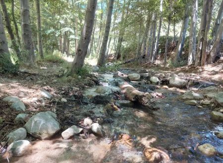 Coldbrook Campground