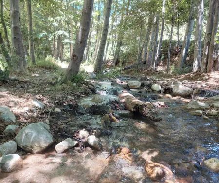 Coldbrook Campground