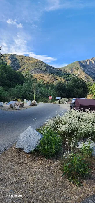 Coldbrook Campground Picture 6