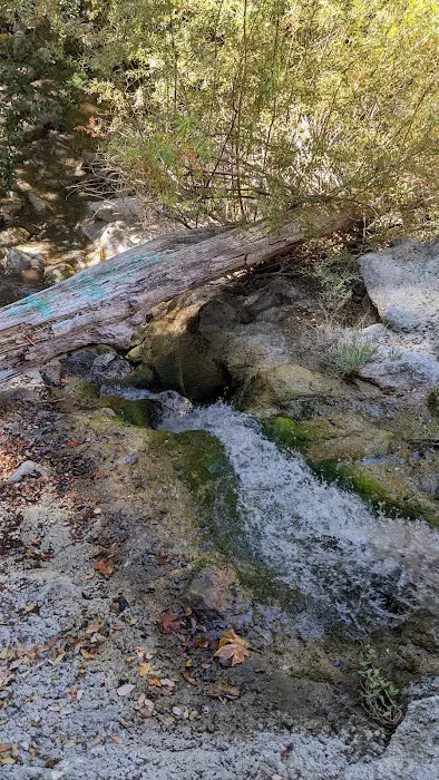 Coldbrook Campground Picture 9
