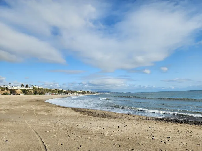 Doheny State Beach Campground Picture 5