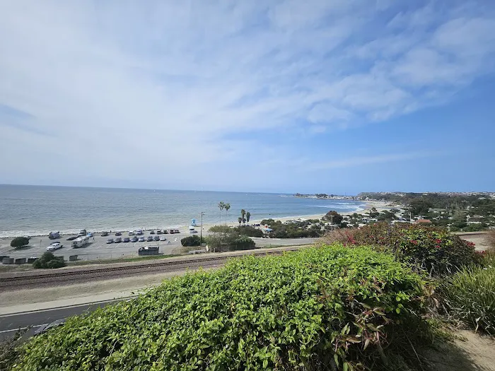 Doheny State Beach Campground Picture 7